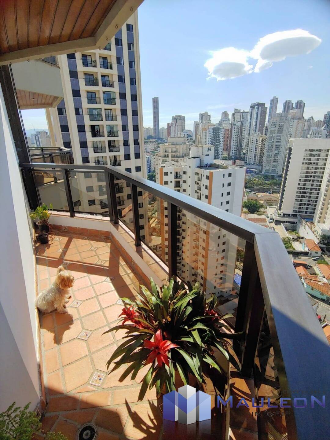 Apartamento à venda com 3 quartos, 135m² - Foto 9